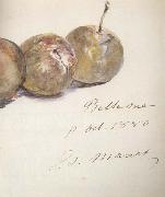 Edouard Manet Lettre avec trois prunes (mk40) china oil painting reproduction